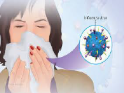 Microtalks -15 maig: El virus de la grip (influenza) i els seus canvis constants