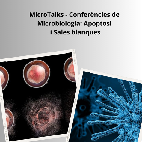 MicroTalks - Conferències de Microbiologia: Apoptosi i Sales blanques