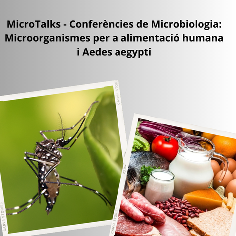 MicroTalks - Conferències de Microbiologia: Microorganismes per a alimentació humana i Aedes aegypti