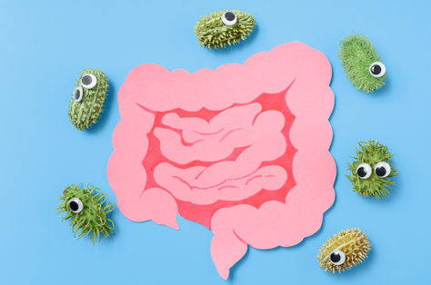 Microtalks - El segon cervell. Què sabem de la microbiota intestinal i del trasplantament fecal?