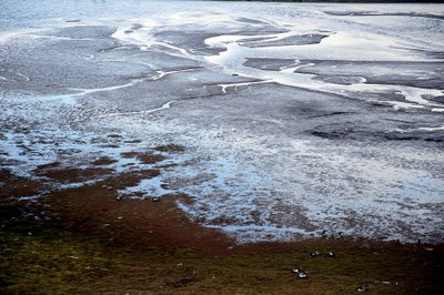 20/05 Conferencias de Microbiología - Cambio climático un desafío microbiológico