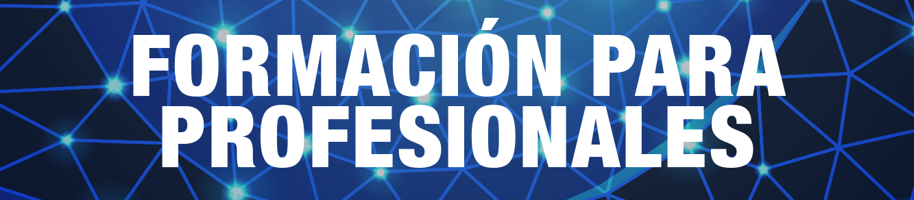 Formacion x profesionales castellano
