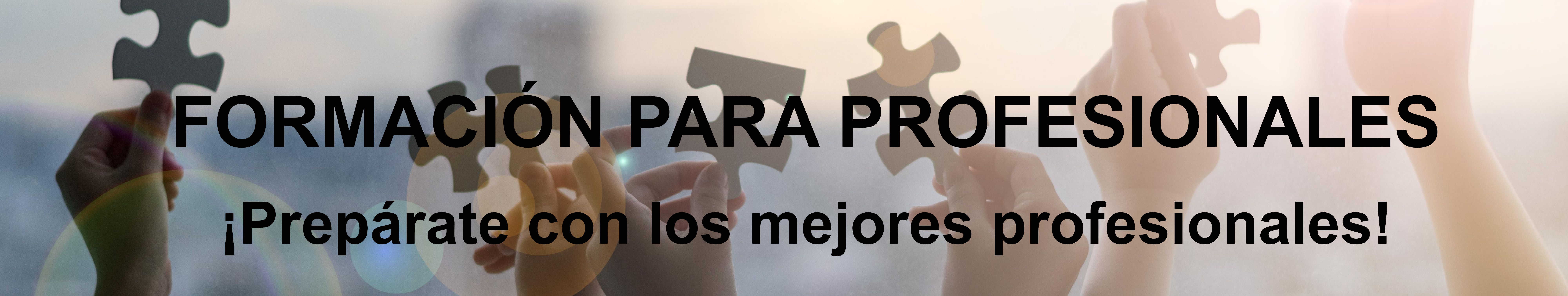 formación profesional